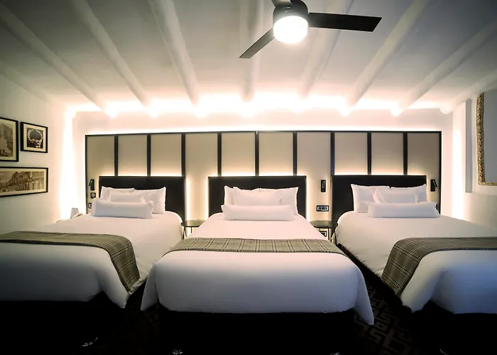 Casa Andina Premium